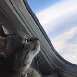 movimientovioleta from onlyfans