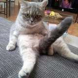 murmurus from onlyfans