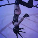 octavekitten from onlyfans