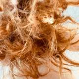 redbuns from onlyfans